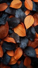 Poster - A close up of leaves with water droplets on them