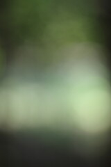Wall Mural - abstract background