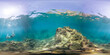 © Provokator - A snorkeler exploring a rocky coral formation underwater, surrounded by clear water and illuminated by sunlight. The 360-degree view captures the beauty of the marine environment.