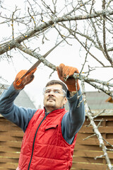 Wall Mural - Pruning trees in an autumn garden. Close-up of hands with a saw cutting old branches.