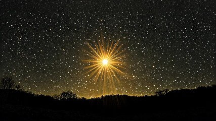 Wall Mural - A bright star shines in the night sky above a dark forest