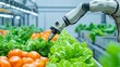 © patpongstock - A robotic arm tending to fresh vegetables in a modern greenhouse, showcasing automation in agriculture and smart farming technology.