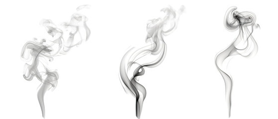 Wall Mural - candle smoke png transparent background
