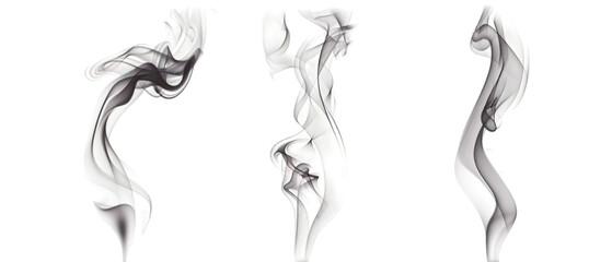 Wall Mural - candle smoke png transparent background