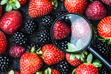 A magnifying glass focuses on a single strawberry amidst a collection of various red and black berries.