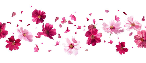 Wall Mural - falling flowers png transparent background
