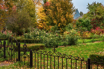 Old garden with flowers, ornamental plants in autumn during rain.