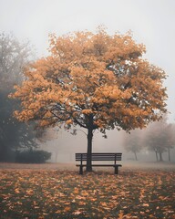 Canvas Print - Peaceful Autumn Morning in Tranquil Park with Lone Bench Under Golden Tree