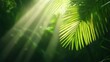 © pprothien - Delicate rays of sunlight filtering through tropical palm leaves, casting intricate shadows on the forest floor, creating an exotic nature vibe