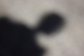 Wall Mural - a vague view of the shadow of a person on the sidewalk.