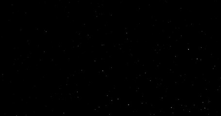 Wall Mural - Natural Organic Dust Particles Floating On Black Background. Dynamic Dust Particles Randomly Float In Space. Shimmering Glittering Dust Particles With Bokeh. Slow motion on Black Background.