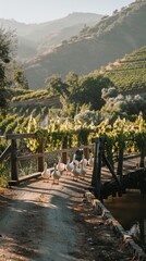Poster - A group of ducks walk across a bridge over a road