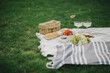 © polinaloves - Cozy summer picnic on green meadow with fresh fruits, cheese and cold champagne.