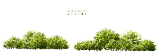 Wall Mural - vector watercolor green tree or forest side view isolated on white background for landscape and arch