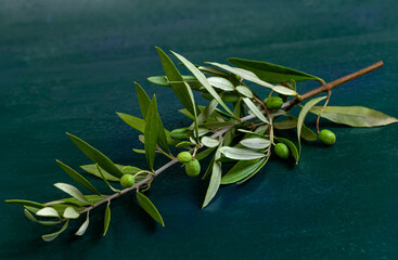 green natural fresh olives on branches with a leaves on wooden baground