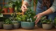 © Philipp - Essential tips for planting and caring for indoor plants to enhance your living space