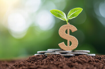 Growth investment concept with coins and plant