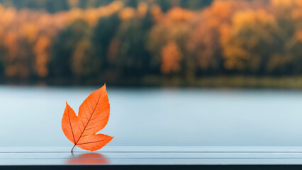 Poster - Orange leaf resting on empty table with autumn colors in background