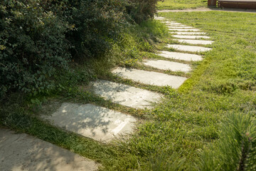 path of stones in the grass, garden path made of large flat stones