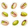 © MacAttack Creations - green pistachios in various positions on white background  illustration