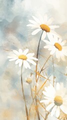 Wall Mural - Chamomile painting blossom flower.