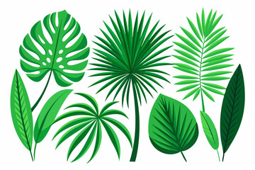 Poster - Collection tropical leaves isolated vector illustration drawing hand