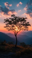 Poster - A tree is silhouetted against a beautiful sunset