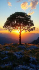 Poster - A tree is silhouetted against the sky with the sun setting behind it