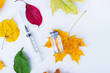 © Verrone - Autumn vaccination of population. Syringe in autumn leaves. Vaccination in autumn. New vaccine.