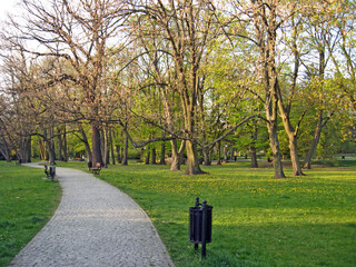 beautiful park with nice promenade path and big green trees. City park