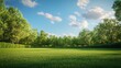 © Zidan - A lush green meadow with trees in the background, under a bright blue sky with fluffy clouds.