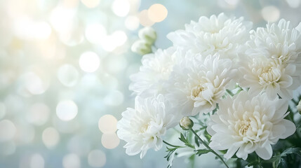 elegant white flowers with soft bokeh background, mourning and funeral imagery with copy space for text