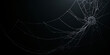 © fotoluigi868 - A black backdrop set against an eerie tapestry of sprawling, ghostly spider webs._00003_