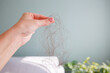 © Viktoriia M - A woman's hand holds a bunch of long hair in the room. The problem is hair loss.