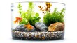 © Pannin - A tiny fish tank with one or two fish, a few plants, and decorative gravel, set on a white background.