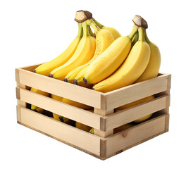 Wall Mural - Ripe bananas in a rustic wooden crate box, isolated on transparent cutout background