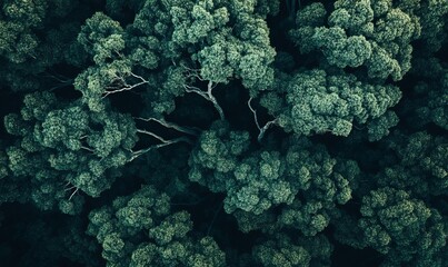 A close up of green trees with many branches