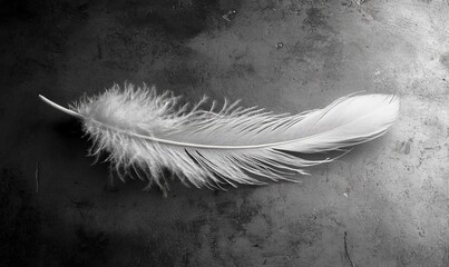 A feather is laying on a table