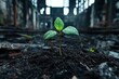 © DachAI - A resilient green plant emerges from dark soil within an abandoned building, symbolizing life, hope, and renewal amidst decay and abandonment in an urban setting.