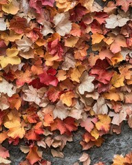 Poster - Autumn leaves on the wall of a decorative arts museum