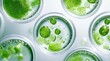 © pisan thailand - Green scientific experiments taking place in a clean laboratory setting with various glass equipment such as test tubes flasks and beakers containing bubbling foaming liquids