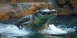 © serg3d - A crocodile emerges from the water with its mouth open. AI.