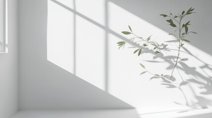 Poster - A clean and bright white background with soft textures, 
