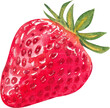 © 3dcr3at3 - A single vibrant red strawberry, hand-drawn watercolor painting illustration