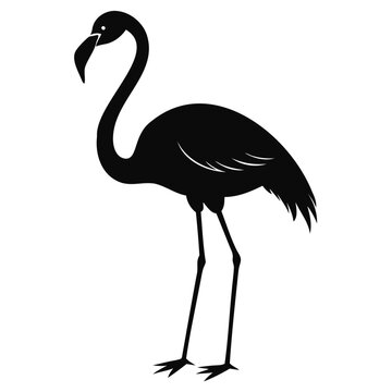 Silhouette of a black flamingo bird Vector illustration Animals silhouette vector illustration