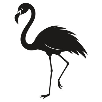 Silhouette of a black flamingo bird Vector illustration Animals silhouette vector illustration