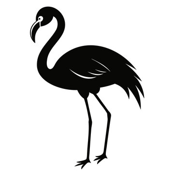 Silhouette of a black flamingo bird Vector illustration Animals silhouette vector illustration
