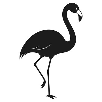 Silhouette of a black flamingo bird Vector illustration Animals silhouette vector illustration