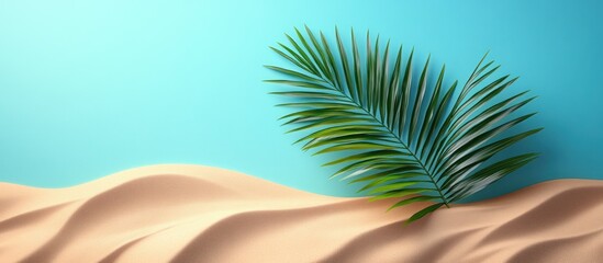  A single palm frond against a backdrop of blue and sand.