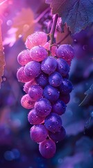 Poster - Close-Up of a Lush Grape Cluster with Dew Drops